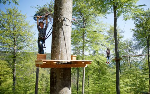 Ziplinepark: An Stahlseilen durch Baumkronen